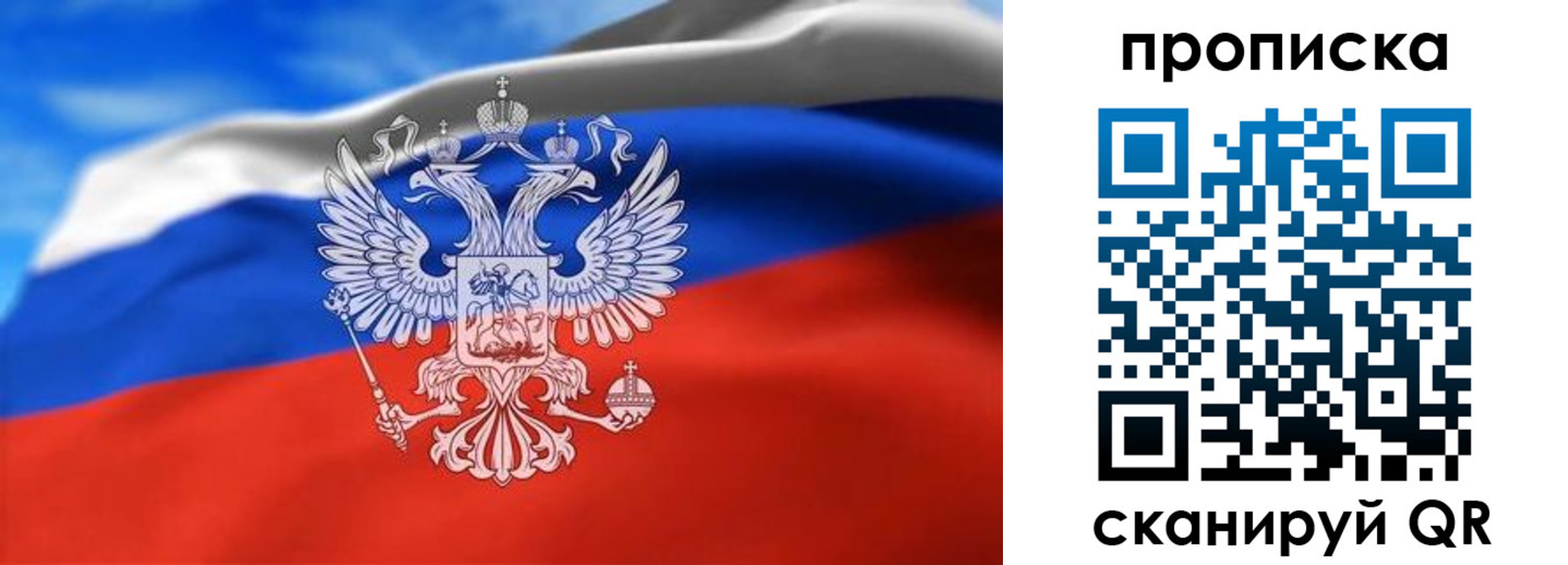 временная регистрация гарантия в Новом Осколе